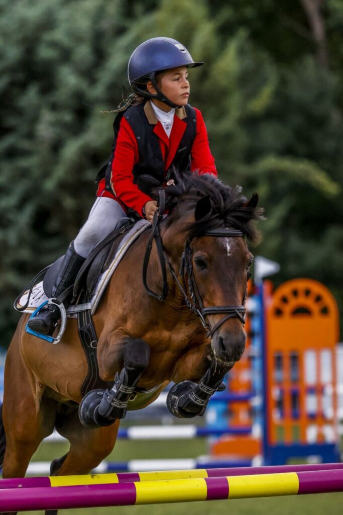 Imagen de galería 1067