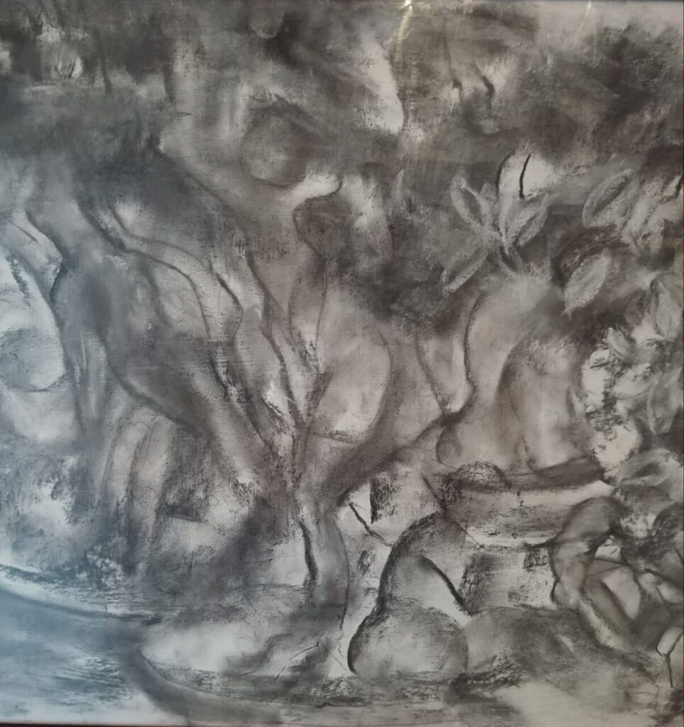 Imagen de galería 1065