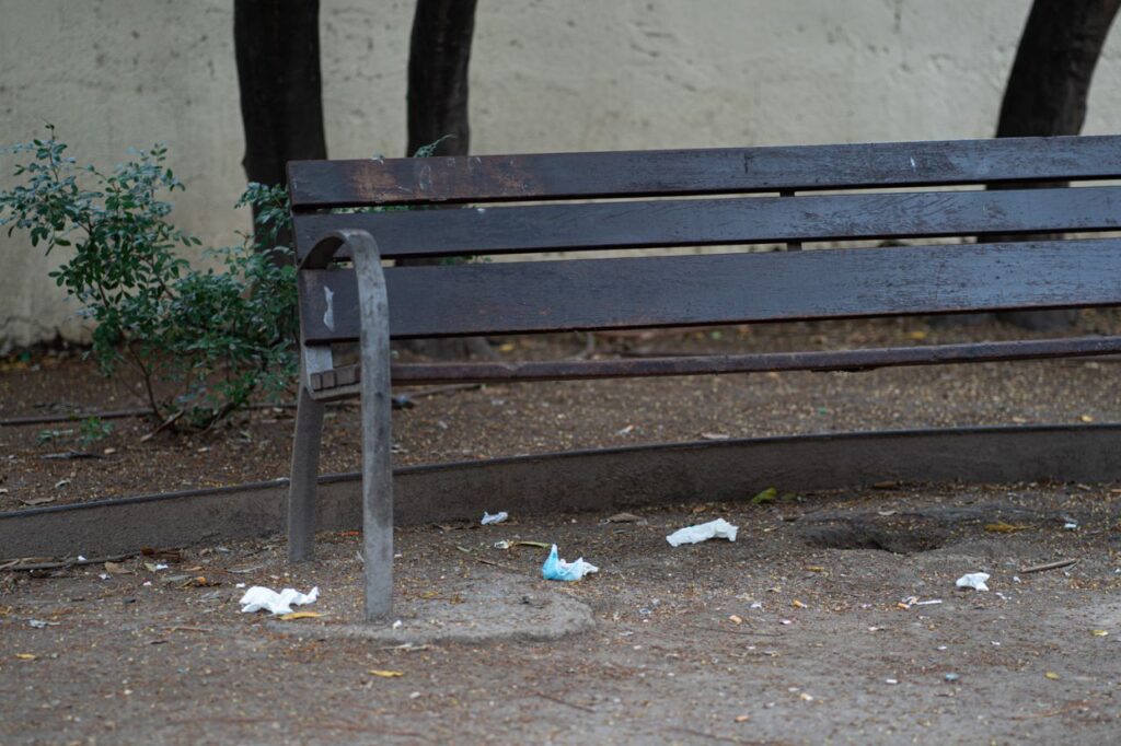 Imagen de galer&iacute;a 983