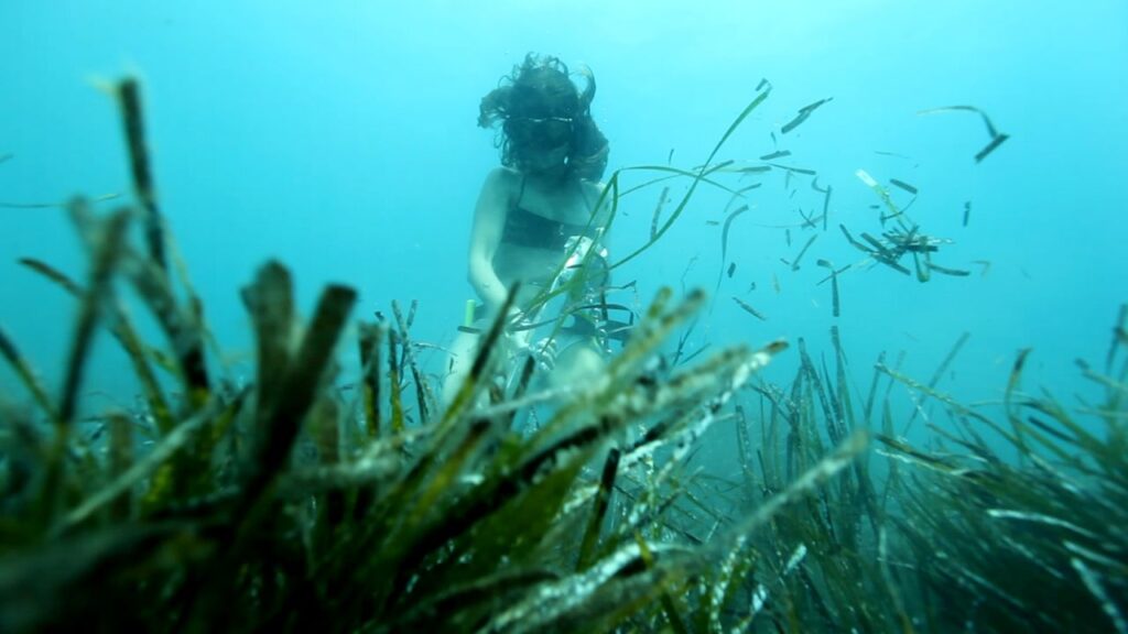 Imagen de galería 194