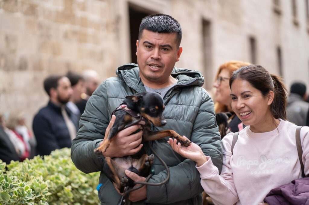 Imagen de galería 1625