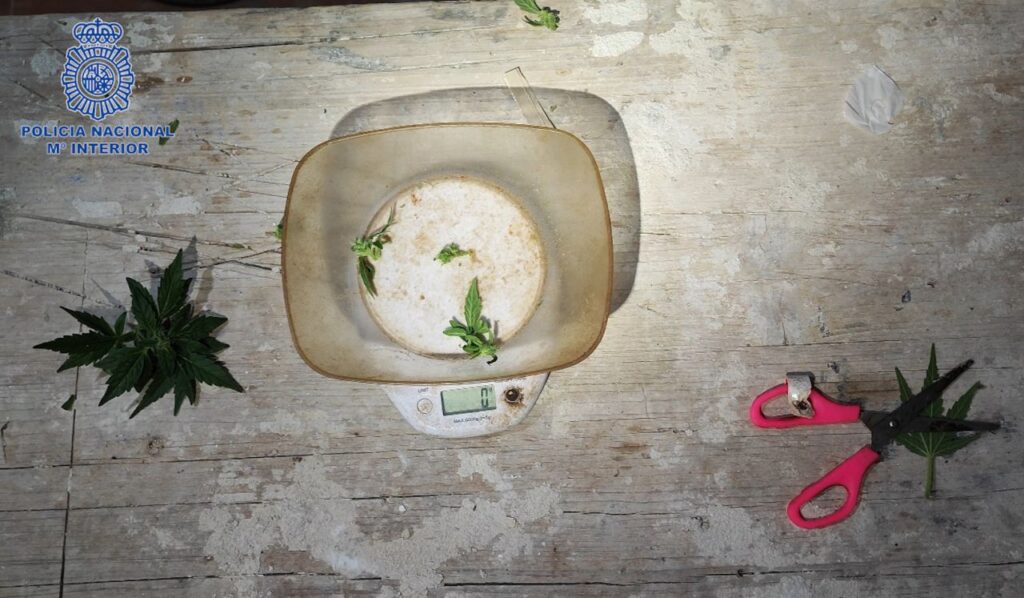 Imagen de galería 1374