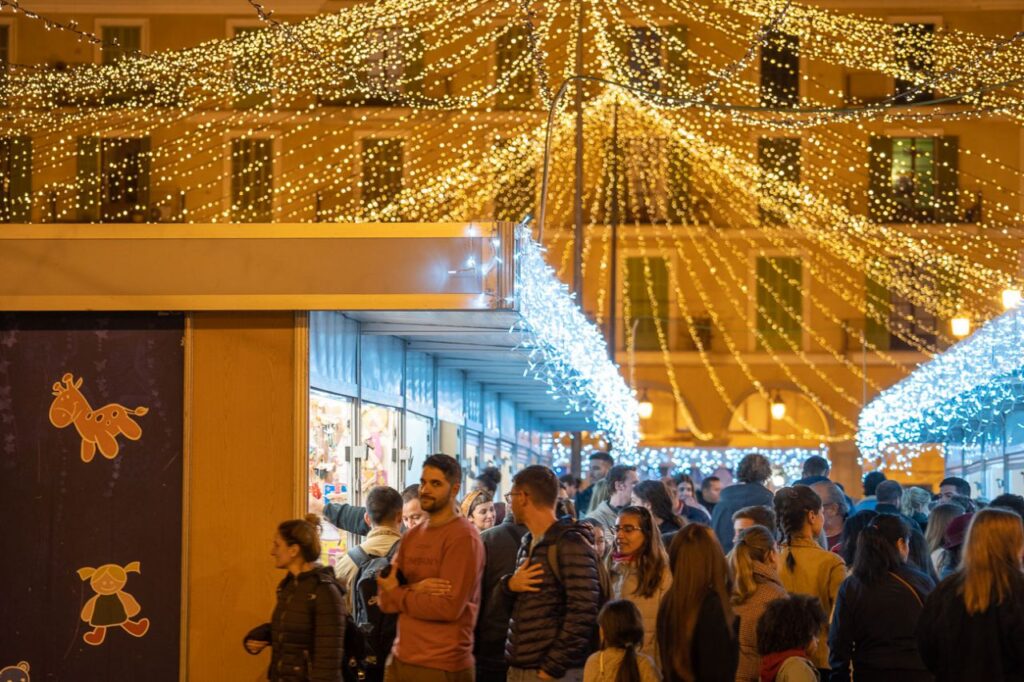 Imagen de galería 1191