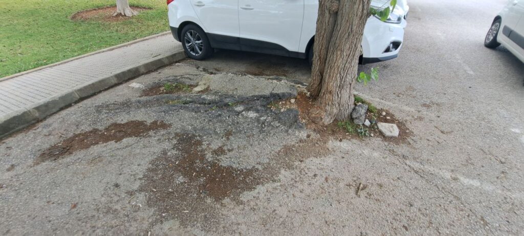 Imagen de galería 1768