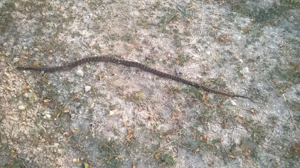 Imagen de galería 53