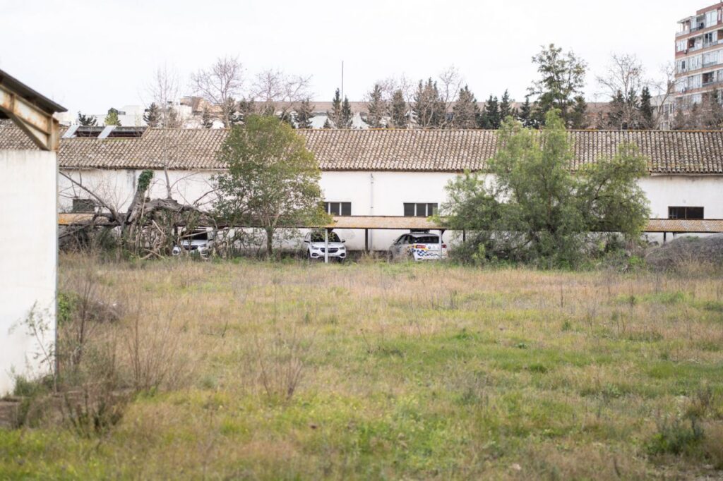 Imagen de galer&iacute;a 1292