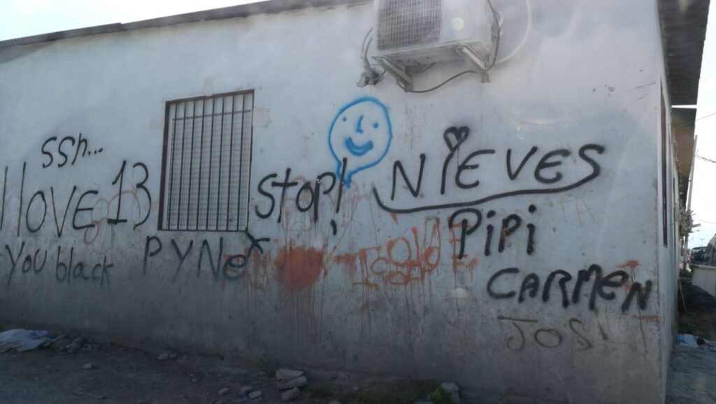 Imagen de galer&iacute;a 484