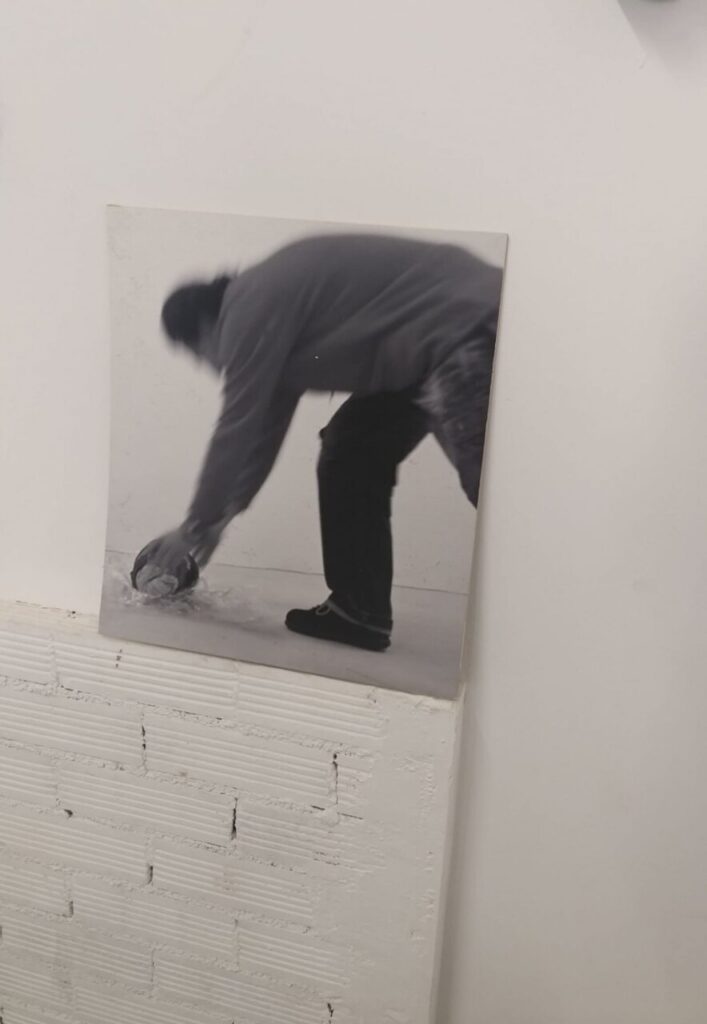 Imagen de galer&iacute;a 939