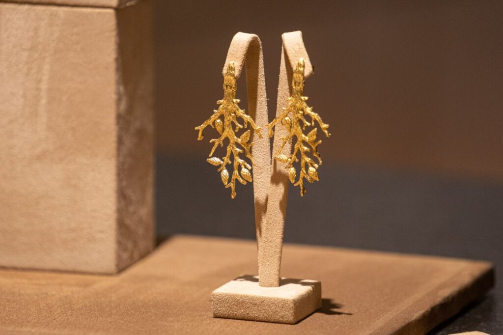 Imagen de galería 1266