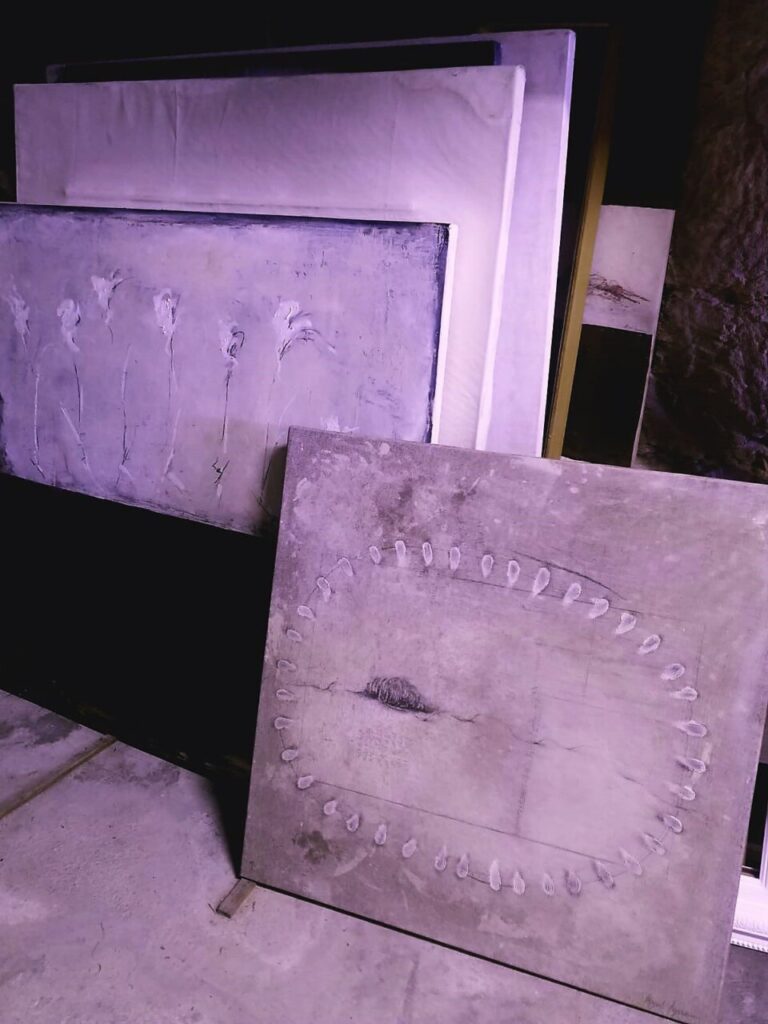 Imagen de galer&iacute;a 1185