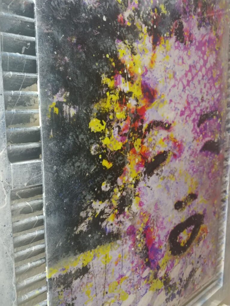 Imagen de galería 997