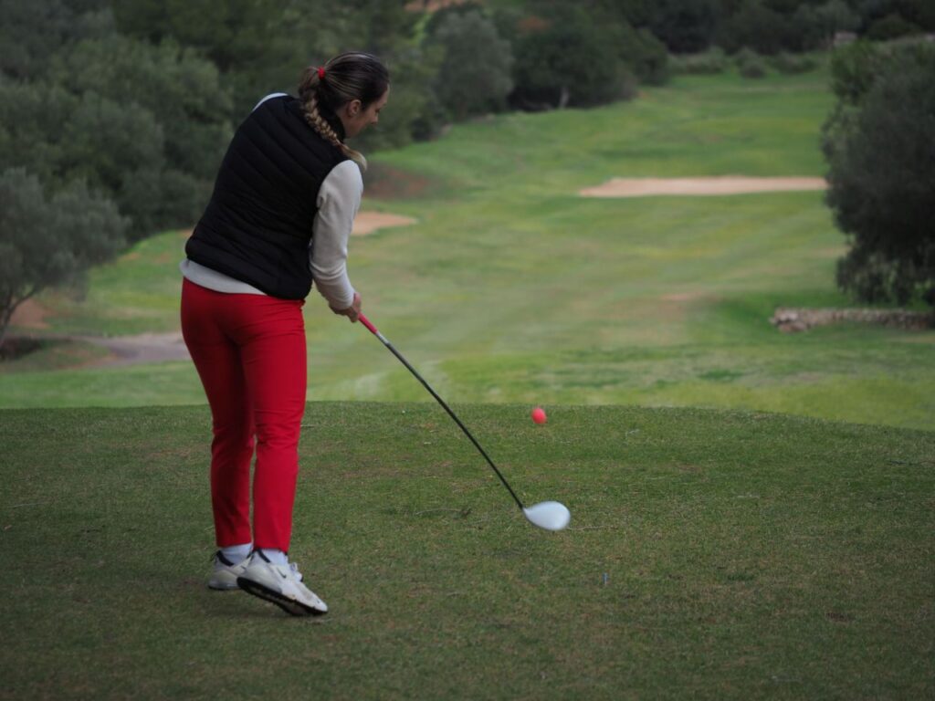 Imagen de galería 1265