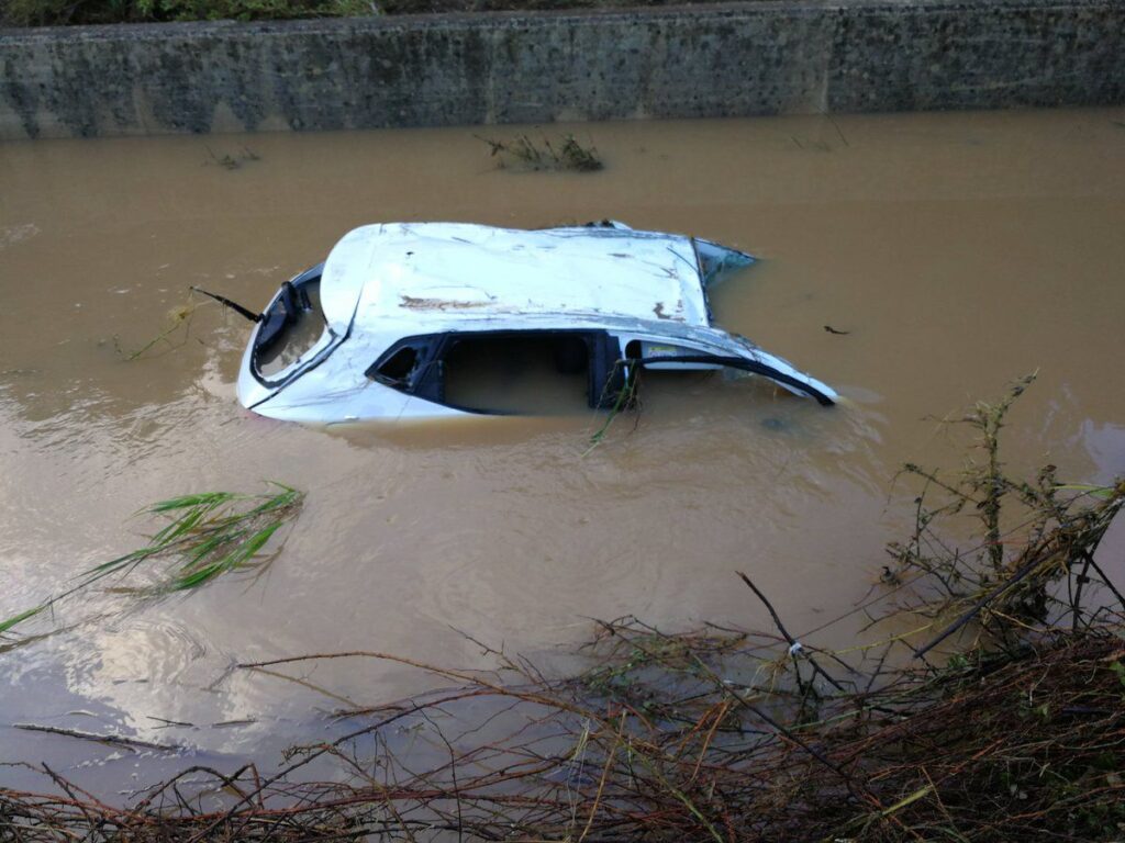 Imagen de galer&iacute;a 351