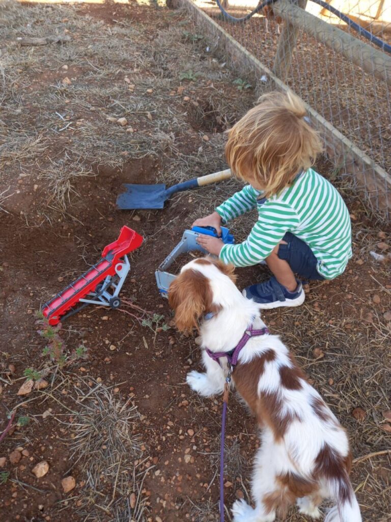 Imagen de galería 1389