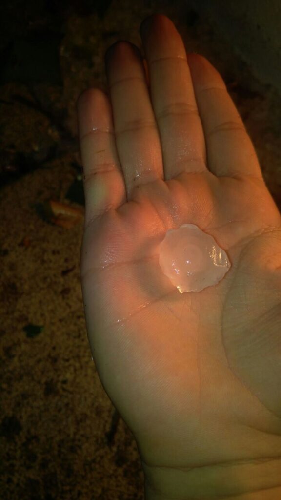 Imagen de galería 76