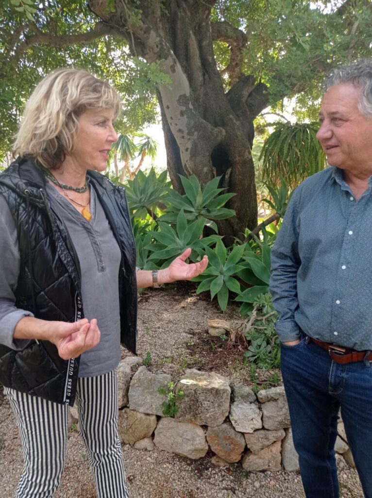 Imagen de galería 1213