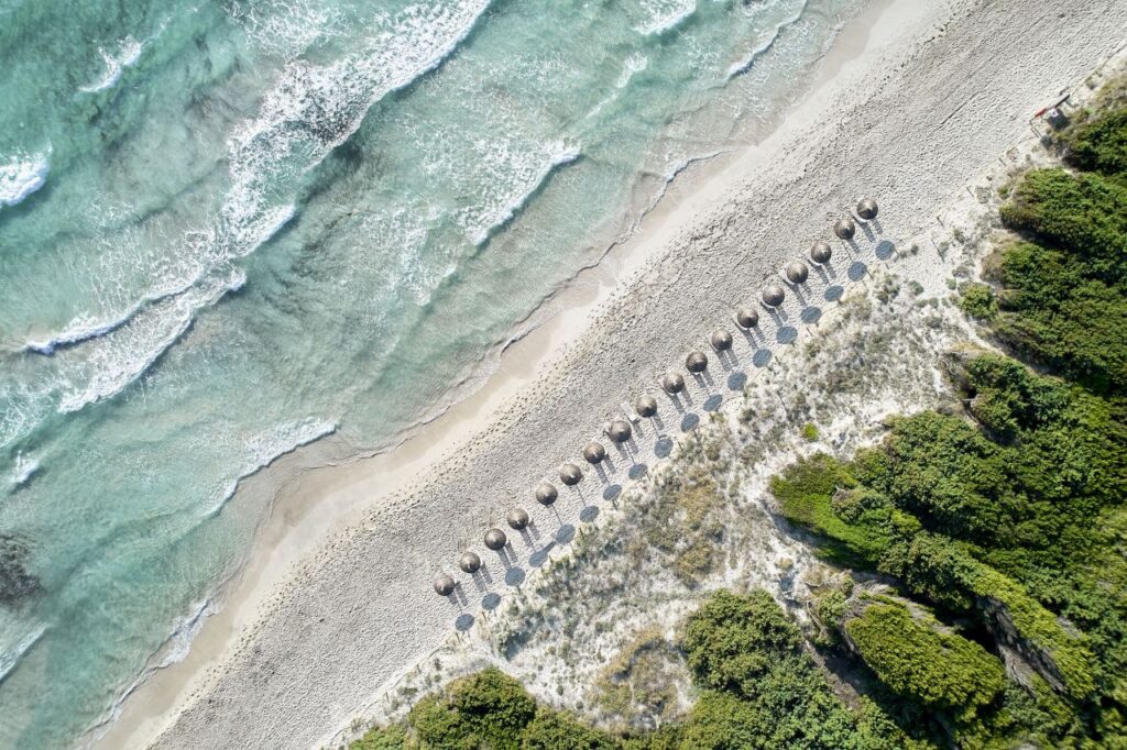 Imagen de galer&iacute;a 1680