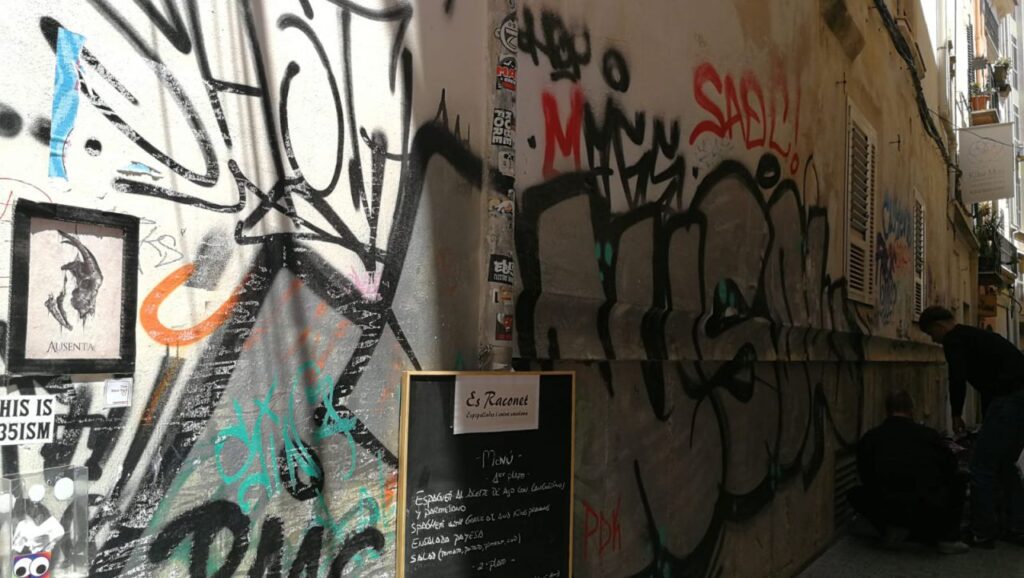 Imagen de galería 575