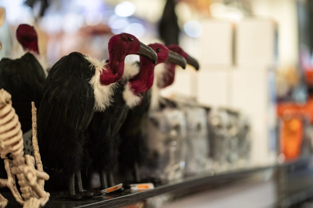 Imagen de galería 1544