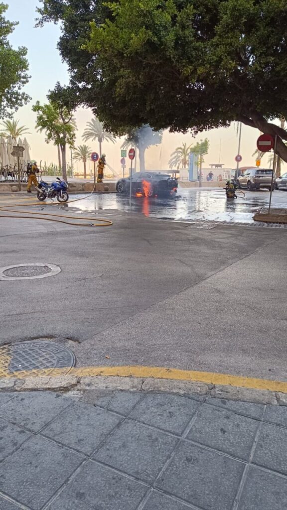 Imagen de galer&iacute;a 1477