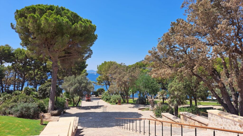 Imagen de galer&iacute;a 1848