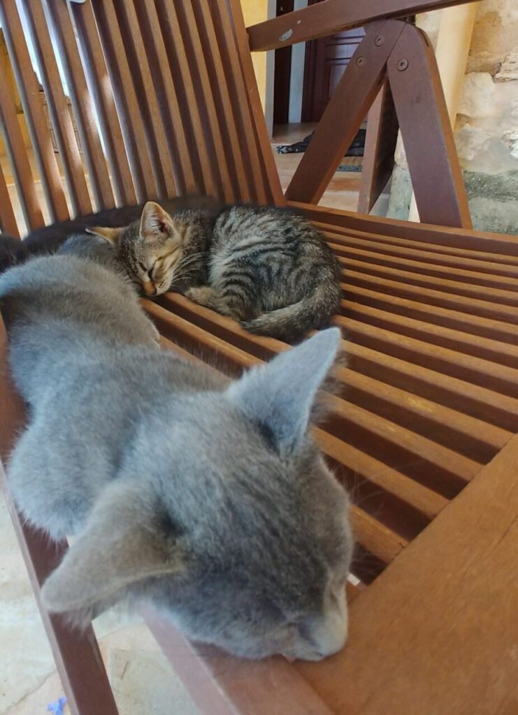 Imagen de galería 1086