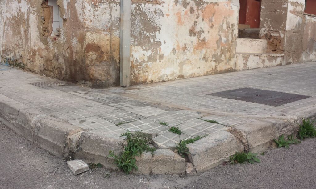 Imagen de galer&iacute;a 14