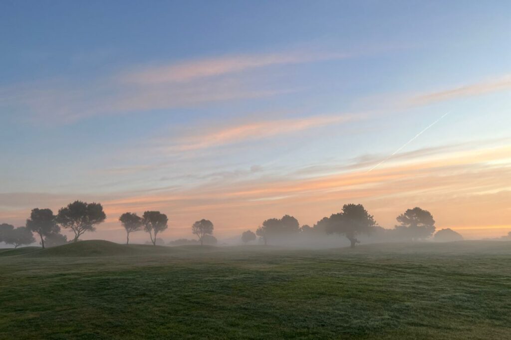 Imagen de galería 1255