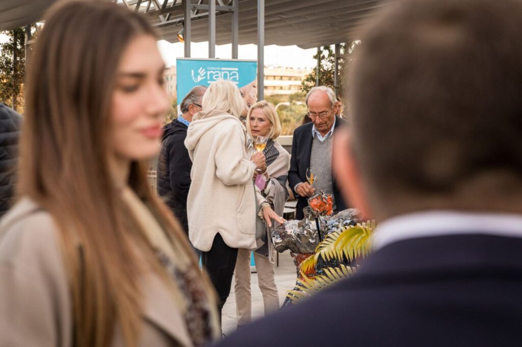 Imagen de galería 996