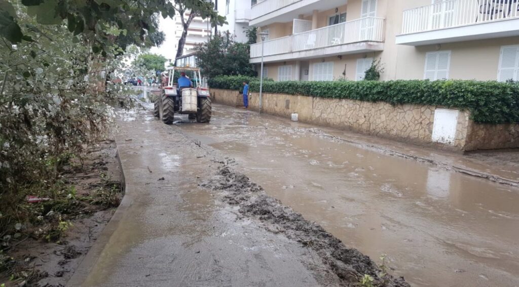 Imagen de galer&iacute;a 351