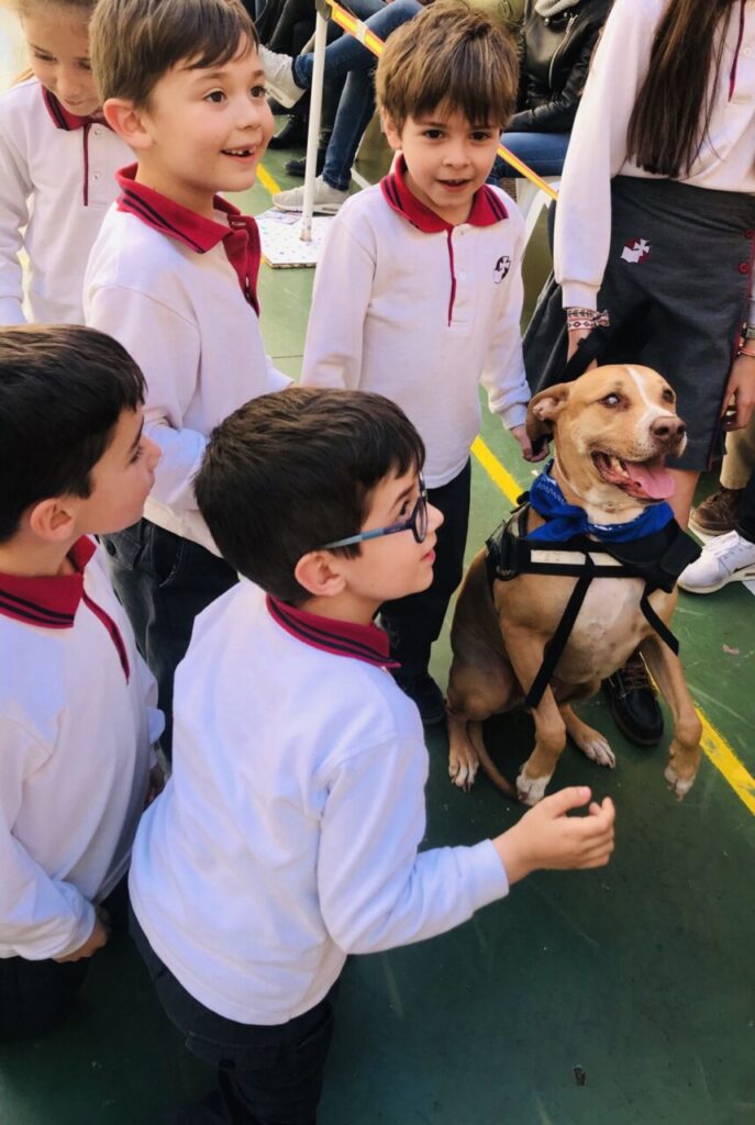 Imagen de galería 501