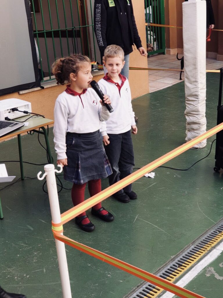 Imagen de galería 501