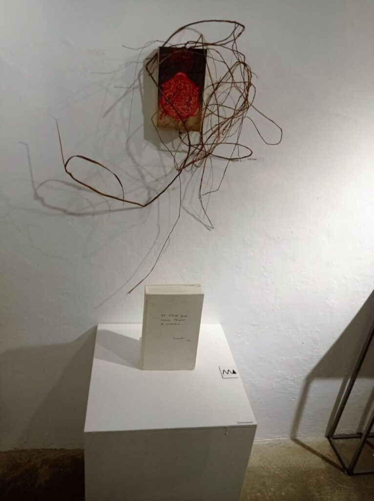 Imagen de galería 1182