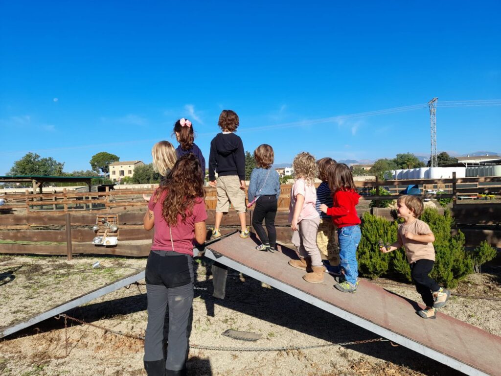 Imagen de galería 1389