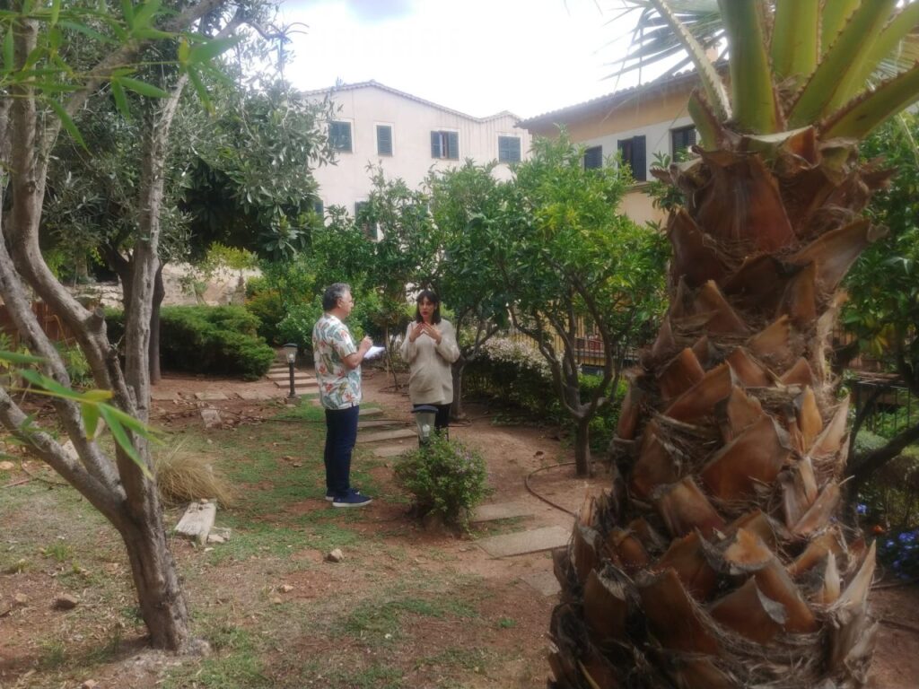 Imagen de galería 924