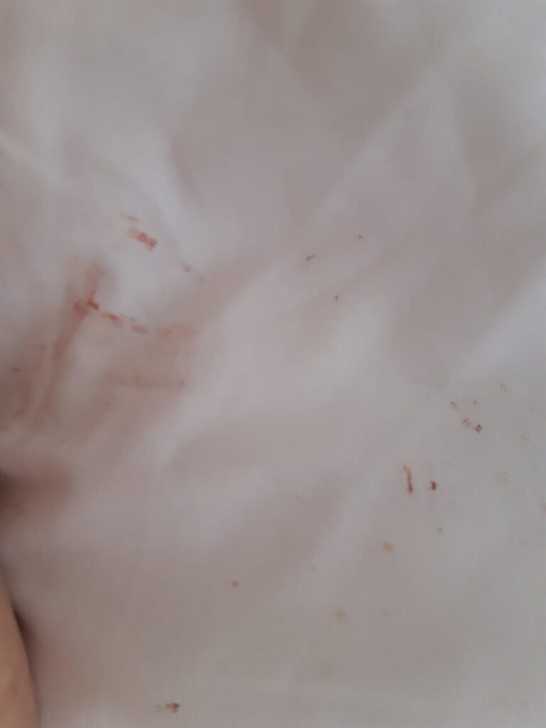 Imagen de galería 776