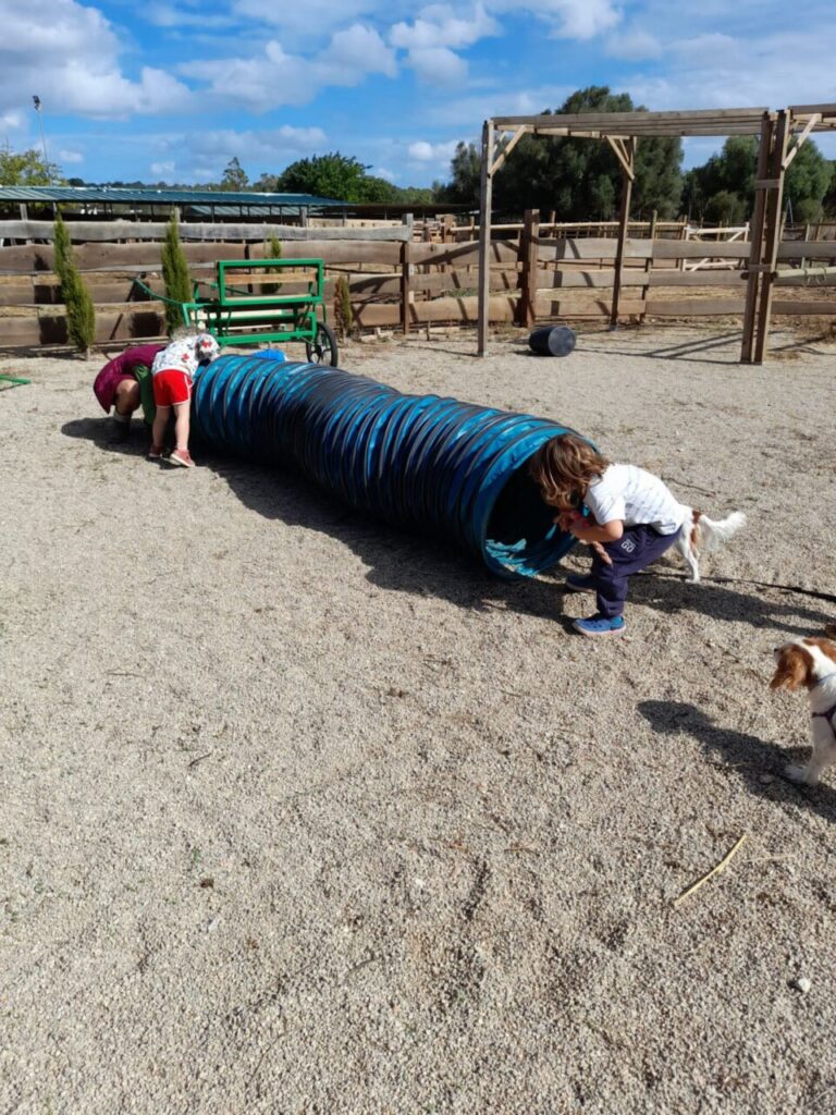 Imagen de galería 1389