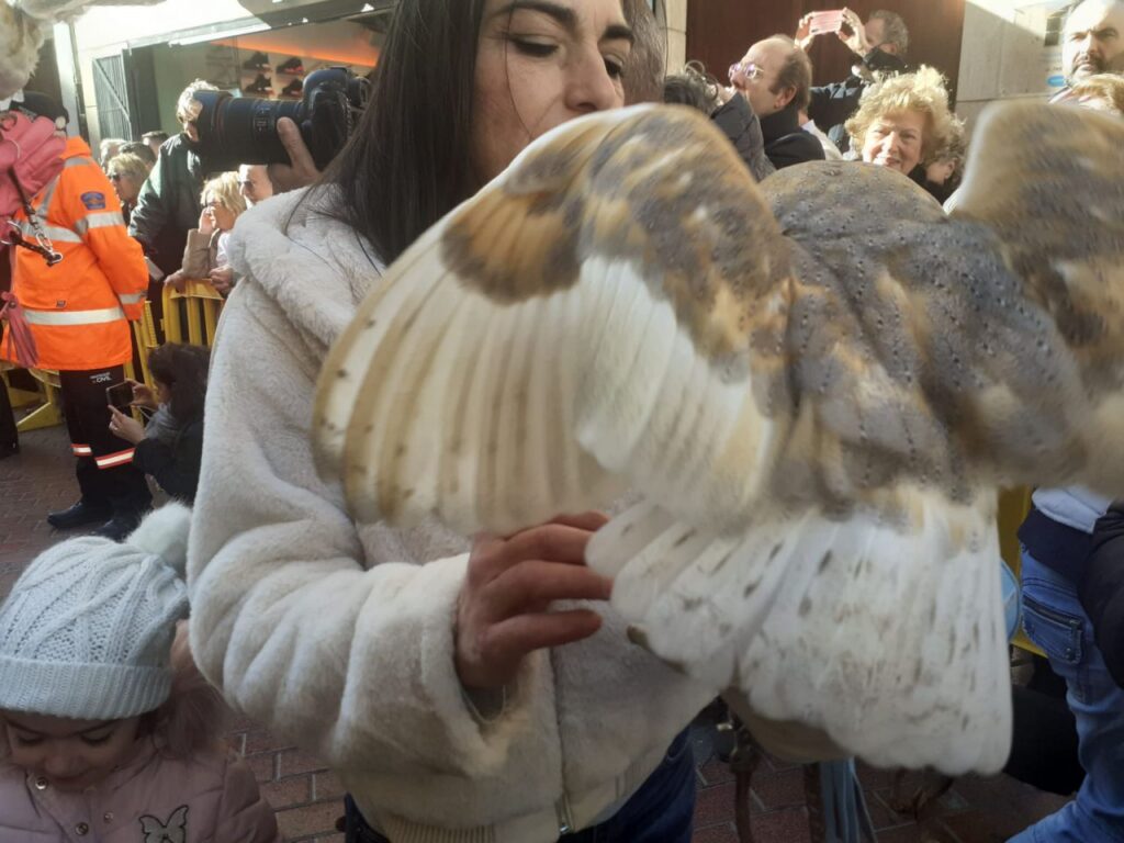 Imagen de galería 1253