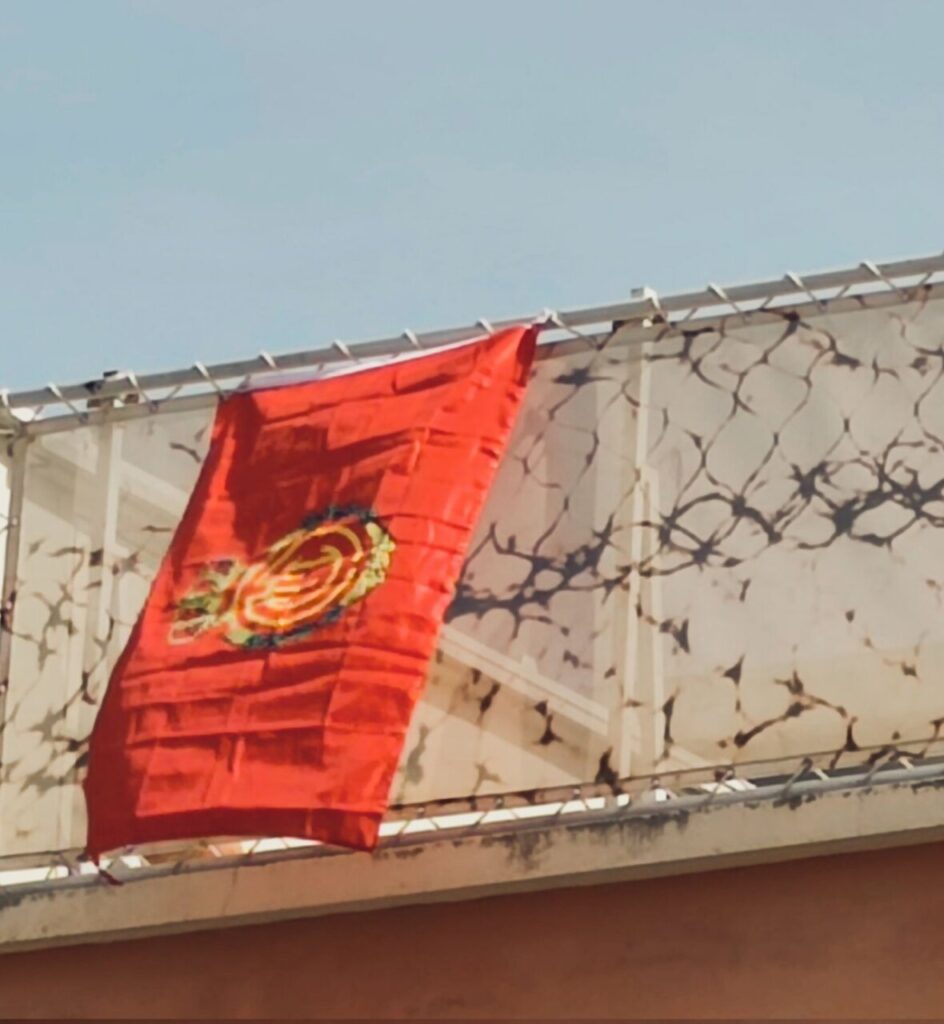 Imagen de galer&iacute;a 1722