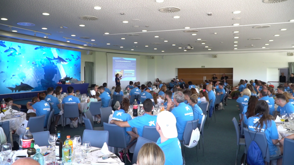 Imagen de galer&iacute;a 553