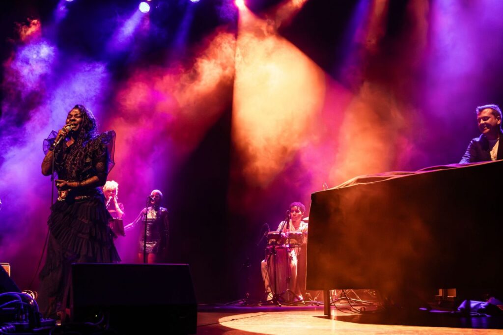 Imagen de galería 1563