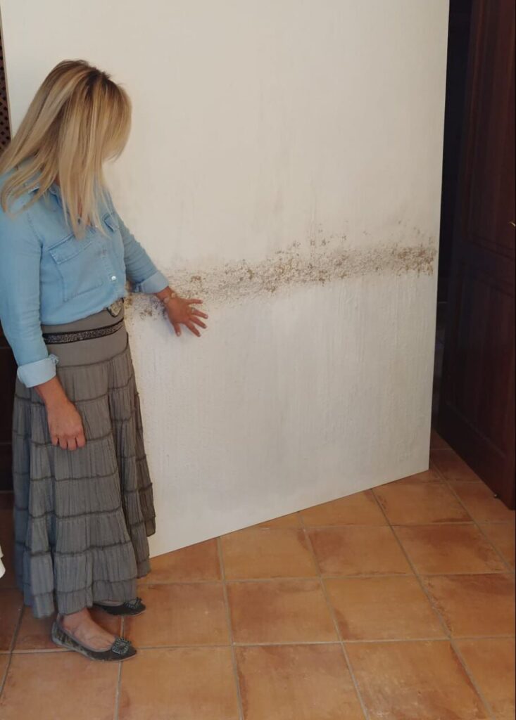 Imagen de galería 1200