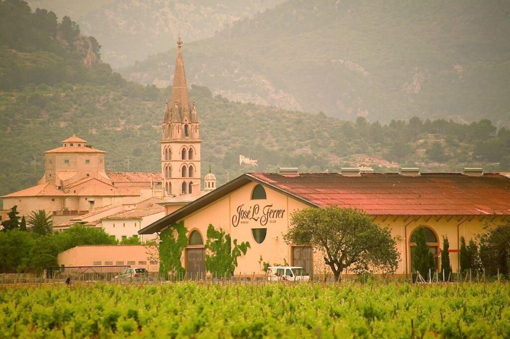 Imagen de galería 1651