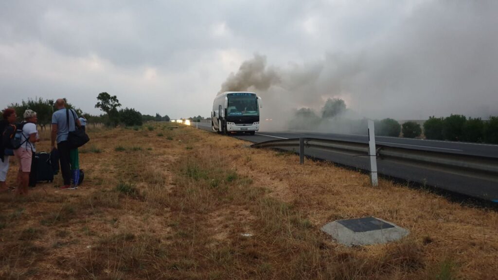 Imagen de galería 571