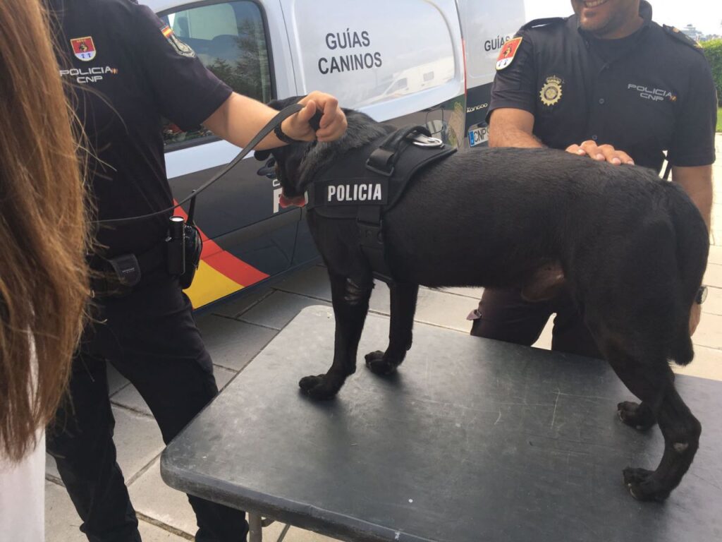 Imagen de galer&iacute;a 75