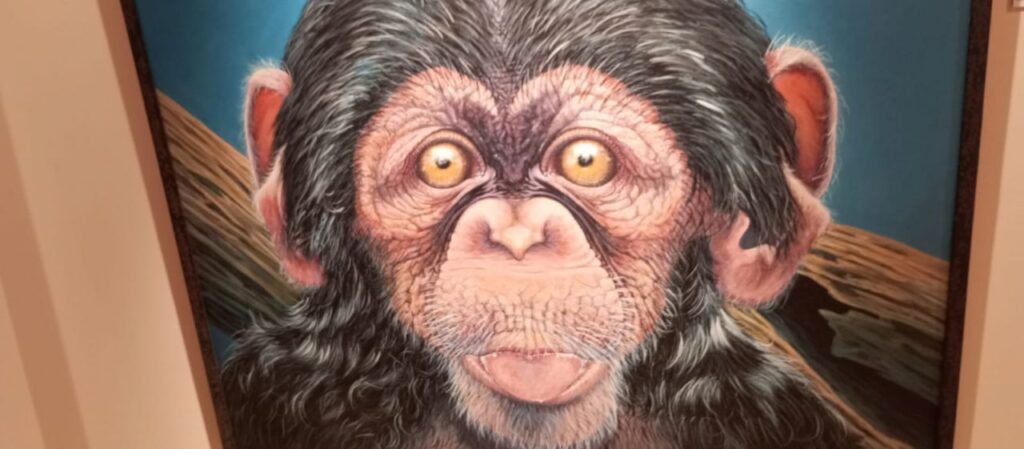 Imagen de galería 1588