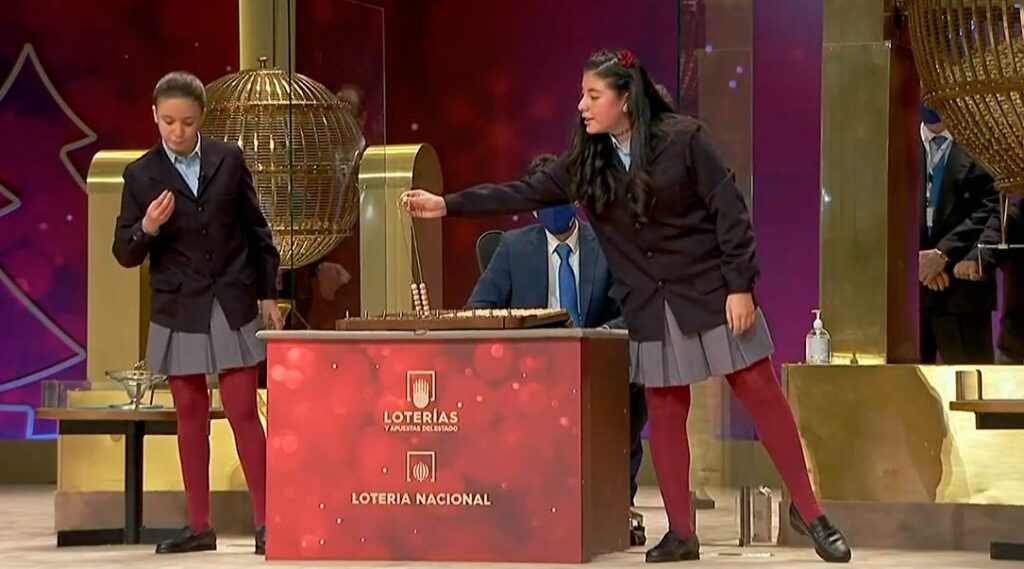 Imagen de galería 790