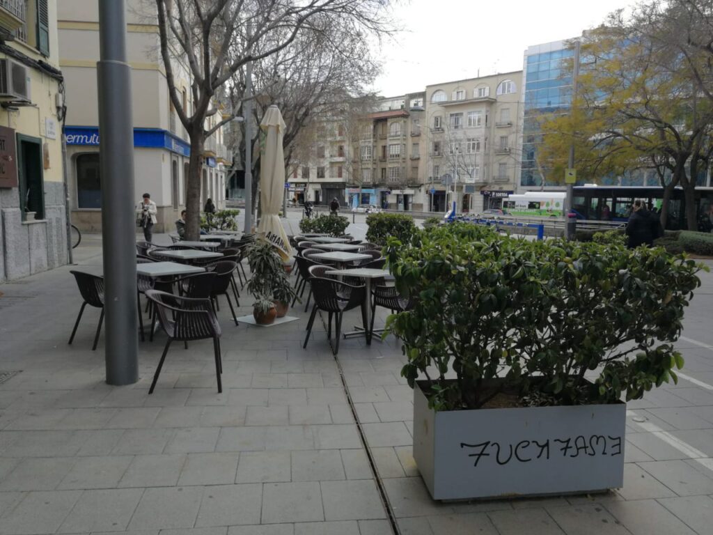 Imagen de galer&iacute;a 701