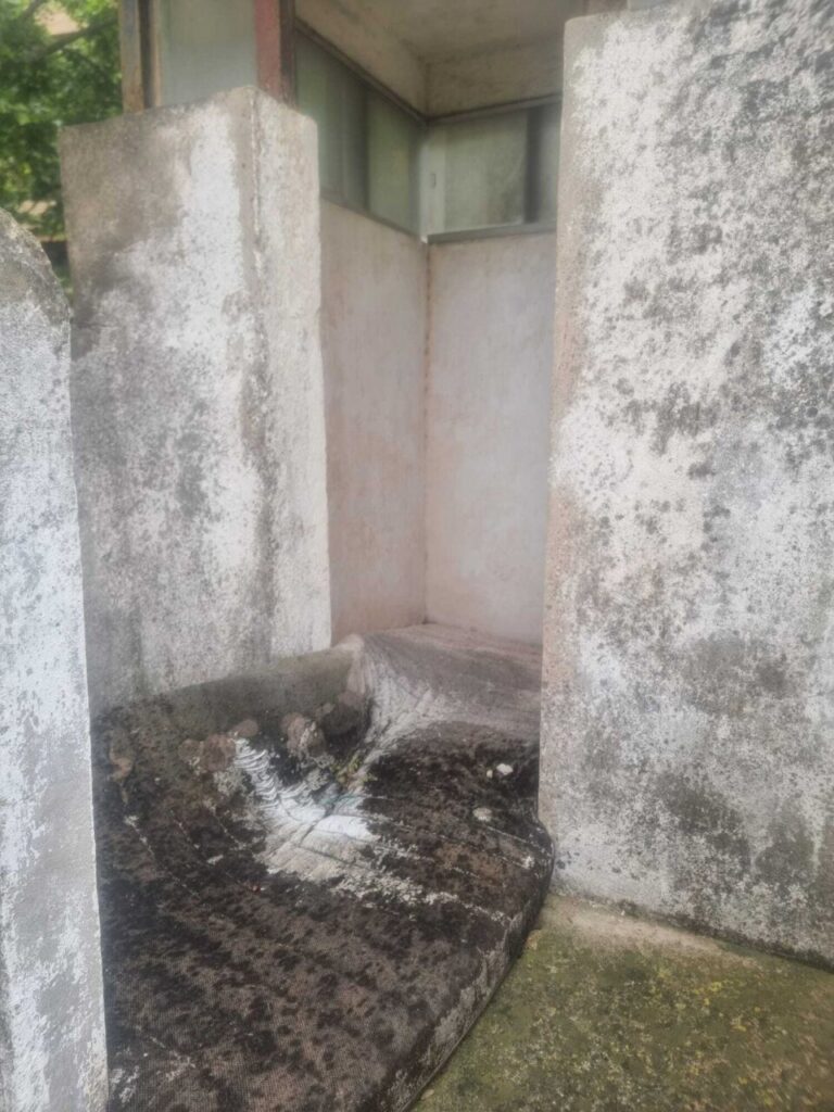 Imagen de galería 1384