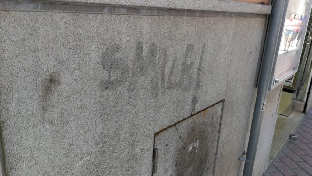 Imagen de galería 575